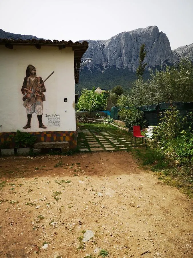 Pinnettu Sardo Cerca Su Google Casa Di Campagna In Ecosistema Insetti E Animaletti Simpatici In Condivisione, Stanza Matrimoniale Senza Finestra, Leggere Attentamente Prima Di Prenotare Oliena