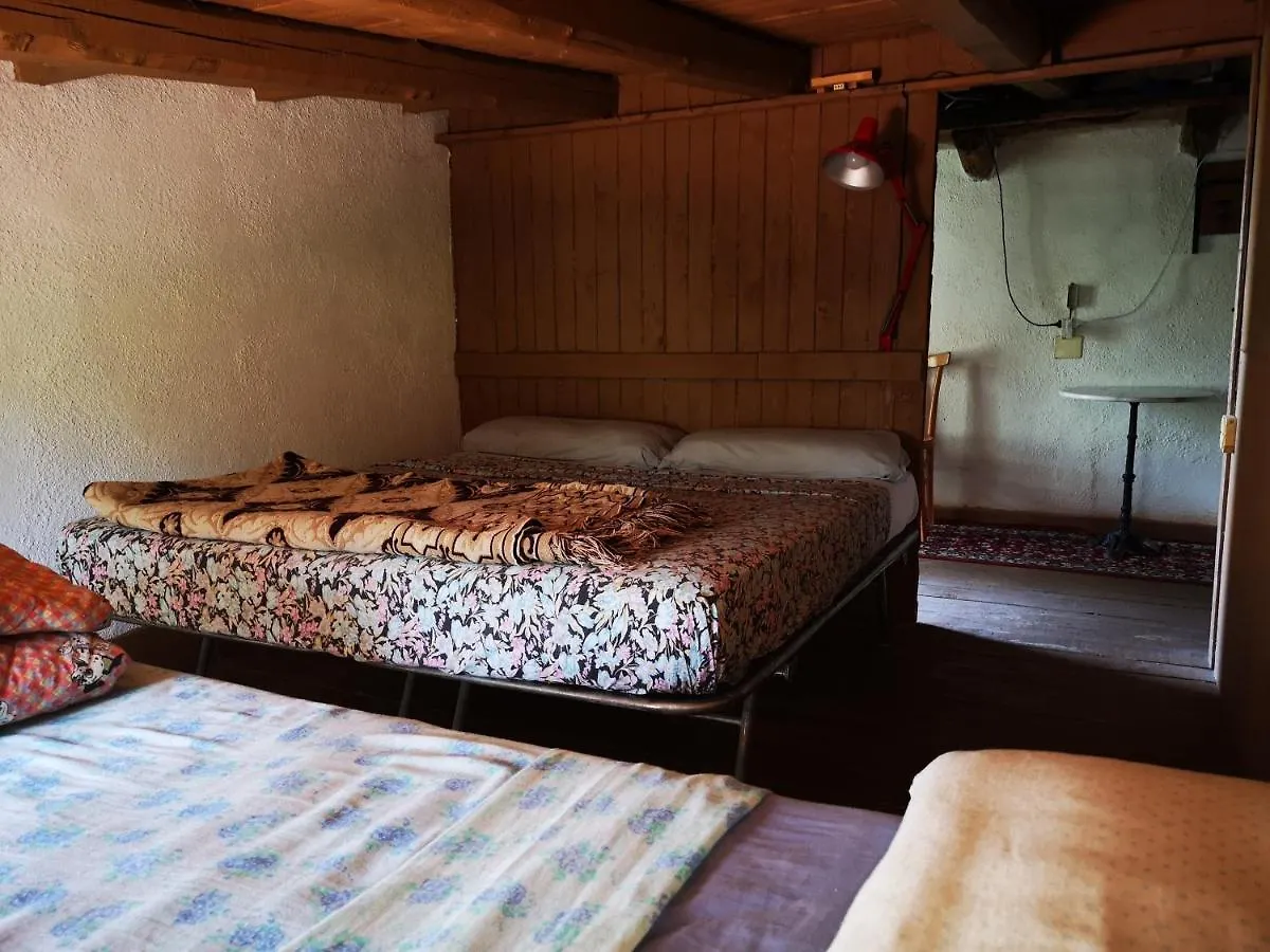 Pinnettu Sardo Cerca Su Google Casa Di Campagna In Ecosistema Insetti E Animaletti Simpatici In Condivisione, Stanza Matrimoniale Senza Finestra, Leggere Attentamente Prima Di Prenotare Oliena Country house