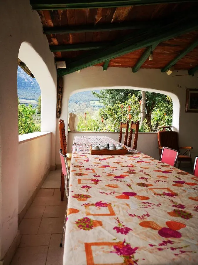 Country house Pinnettu Sardo Cerca Su Google Casa Di Campagna In Ecosistema Insetti E Animaletti Simpatici In Condivisione, Stanza Matrimoniale Senza Finestra, Leggere Attentamente Prima Di Prenotare Oliena