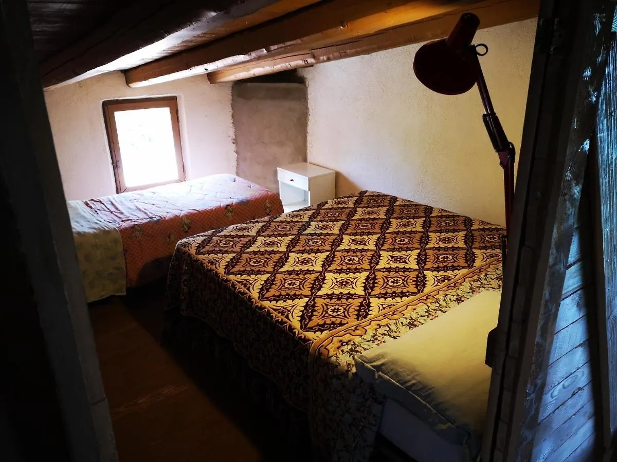 Pinnettu Sardo Cerca Su Google Casa Di Campagna In Ecosistema Insetti E Animaletti Simpatici In Condivisione, Stanza Matrimoniale Senza Finestra, Leggere Attentamente Prima Di Prenotare Oliena Country house