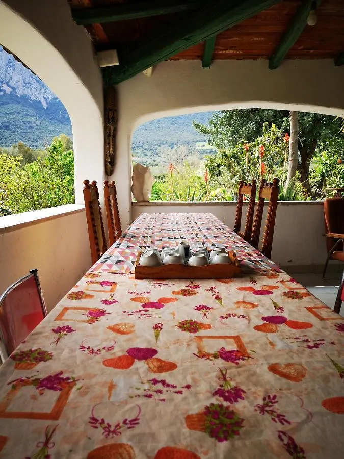 Country house Pinnettu Sardo Cerca Su Google Casa Di Campagna In Ecosistema Insetti E Animaletti Simpatici In Condivisione, Stanza Matrimoniale Senza Finestra, Leggere Attentamente Prima Di Prenotare Oliena Italy